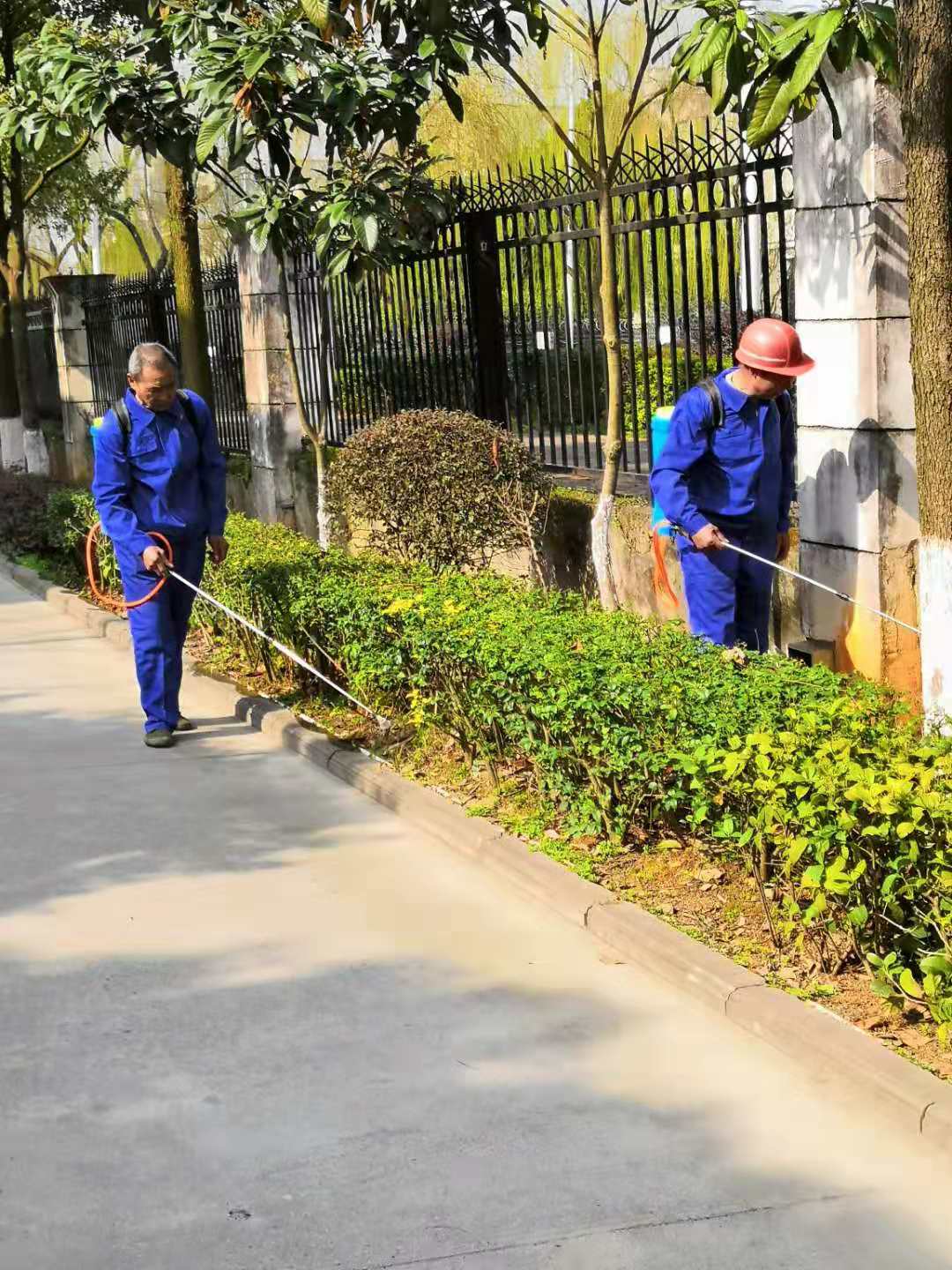 常德市康都物業(yè)服務(wù)有限公司,常德保安服務(wù)公司,保潔服務(wù),綠化服務(wù),搬運服務(wù),墻外高空清洗服務(wù)