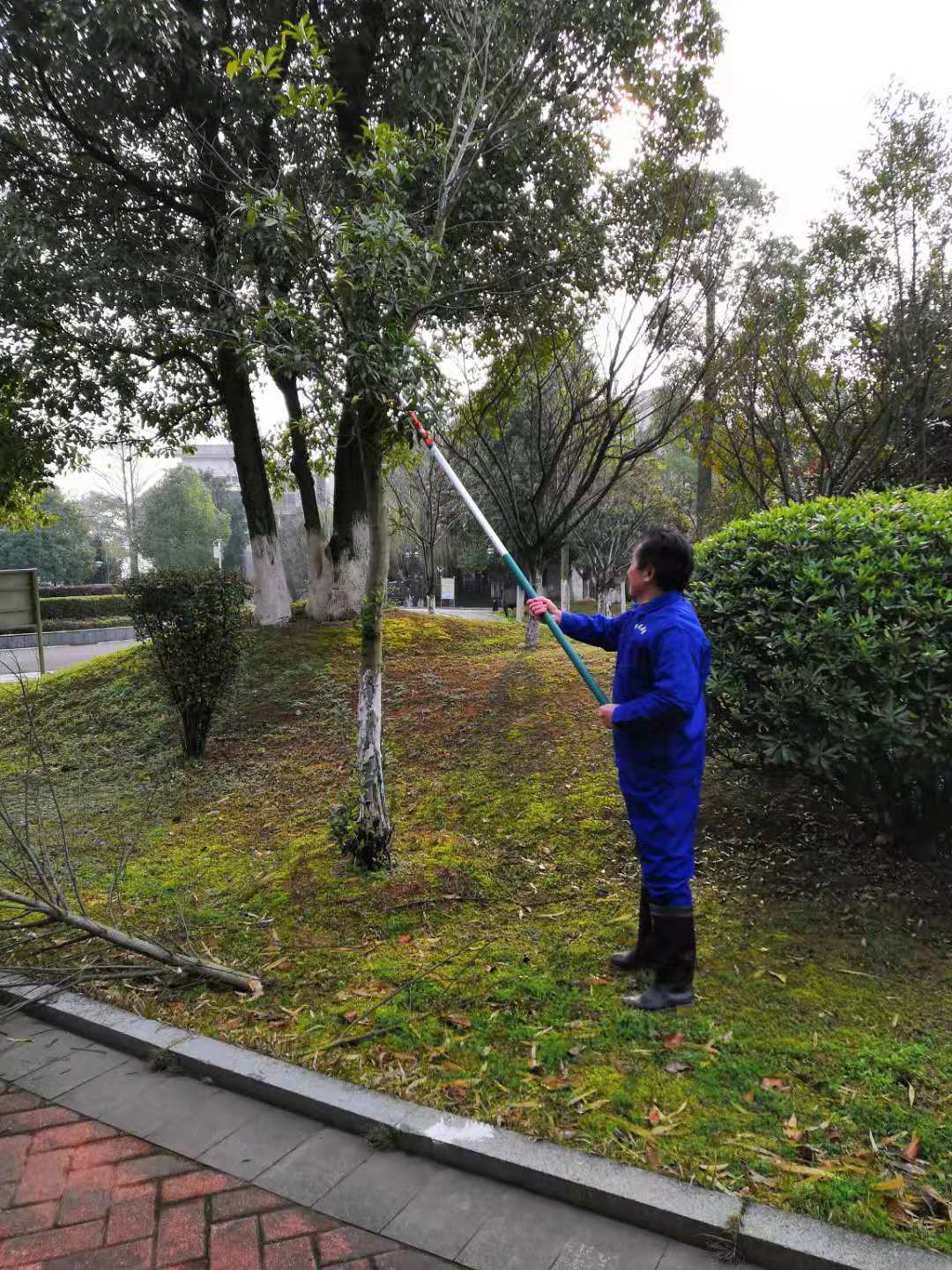 常德市康都物業(yè)服務(wù)有限公司,常德保安服務(wù)公司,保潔服務(wù),綠化服務(wù),搬運服務(wù),墻外高空清洗服務(wù)