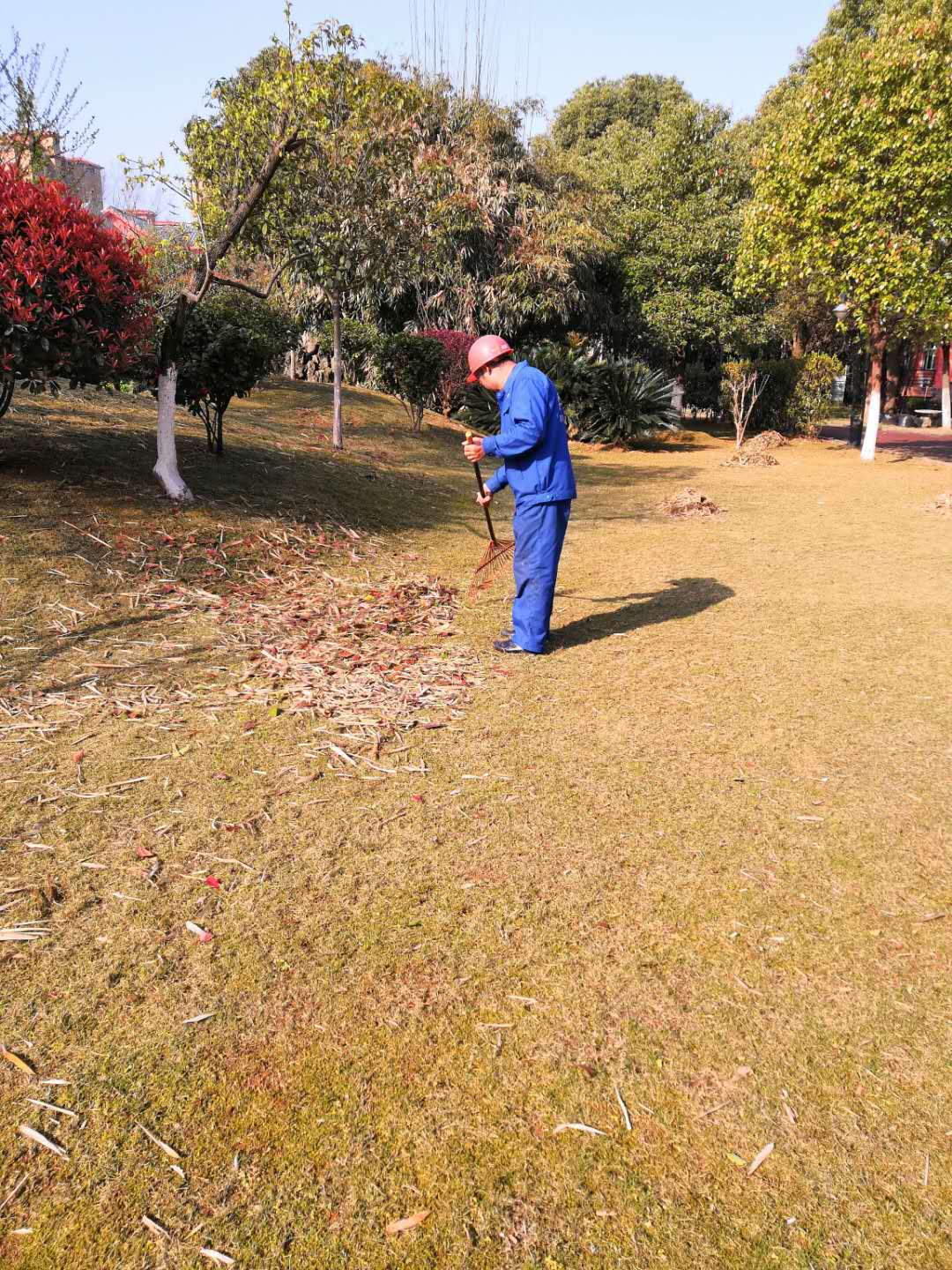 常德市康都物業(yè)服務(wù)有限公司,常德保安服務(wù)公司,保潔服務(wù),綠化服務(wù),搬運服務(wù),墻外高空清洗服務(wù)