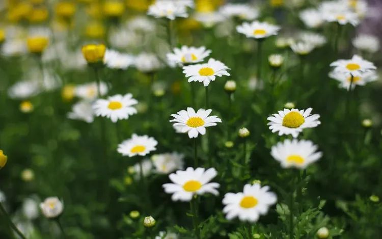 常德市康都物業(yè)服務(wù)有限公司,常德保安服務(wù)公司,保潔服務(wù),墻外高空清洗服務(wù)