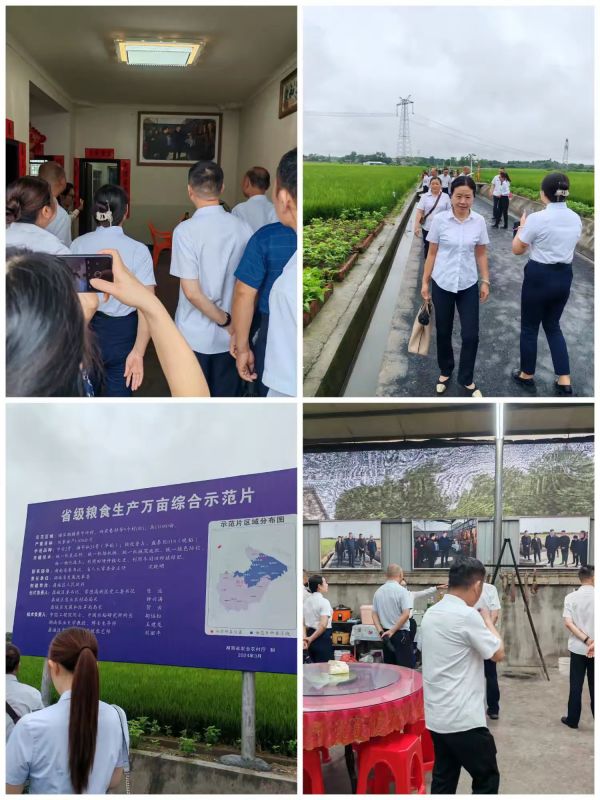 常德市康都物業(yè)服務有限公司,常德保安服務公司,保潔服務,墻外高空清洗服務